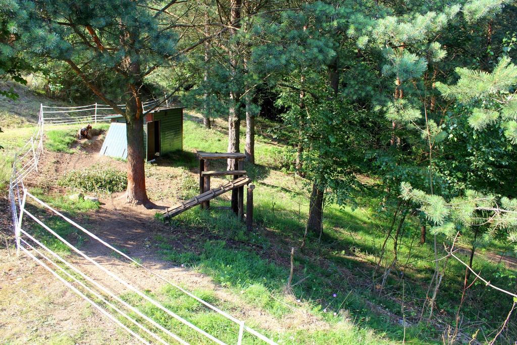 Apartmán Lesny